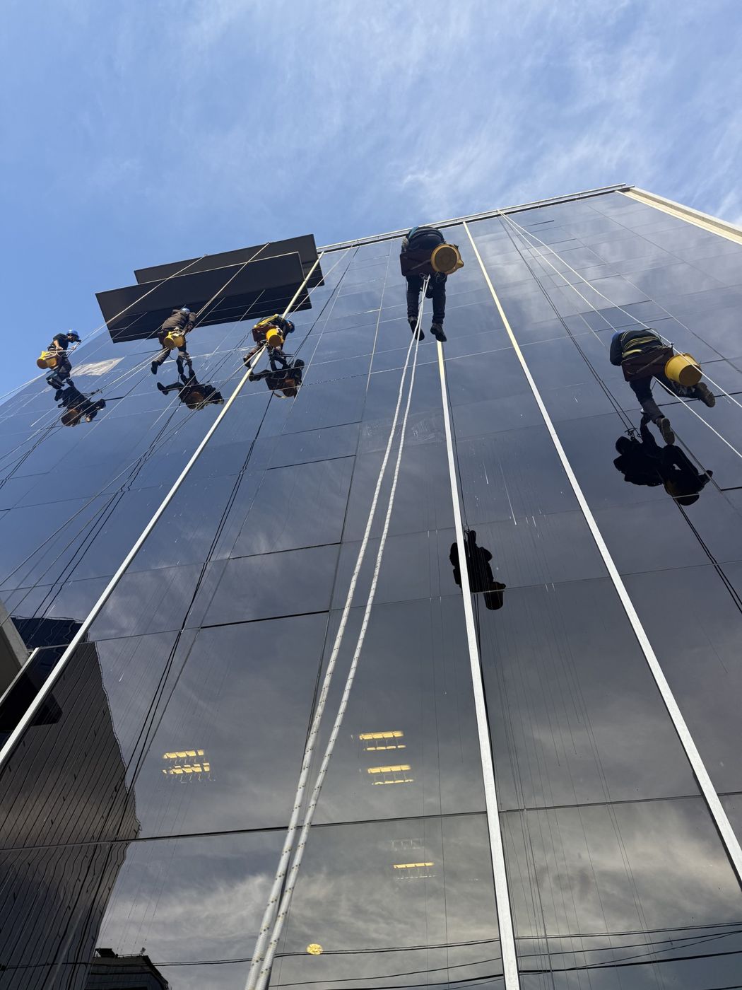 Silleteros de Crystal limpiando la fachada vidriada de una torre